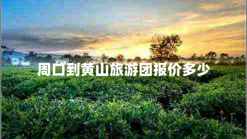 周口到黄山旅游团报价多少