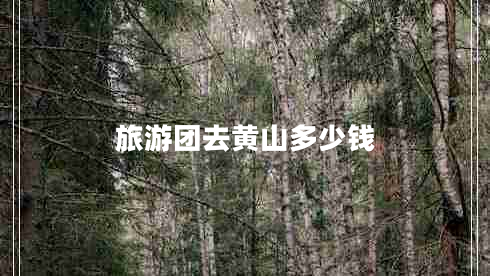 旅游团去黄山多少钱