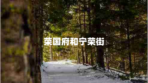 荣国府和宁荣街
