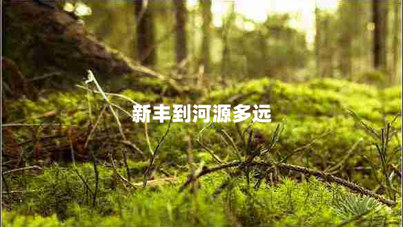 新丰到河源多远