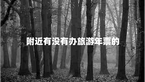 附近有没有办旅游年票的
