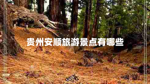 贵州安顺旅游景点有哪些