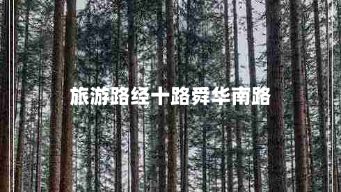 旅游路经十路舜华南路