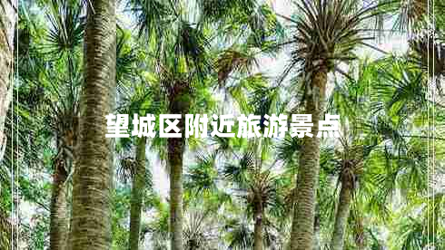 望城区附近旅游景点