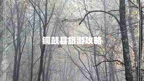 铜鼓县旅游攻略