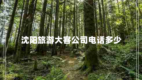 沈阳旅游大客公司电话多少