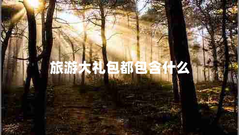 旅游大礼包都包含什么