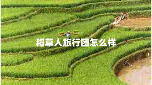 稻草人旅行团怎么样