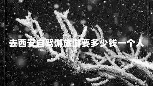 去西安自驾游旅游要多少钱一个人