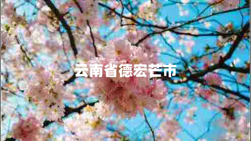 云南省德宏芒市 云南省德宏芒市