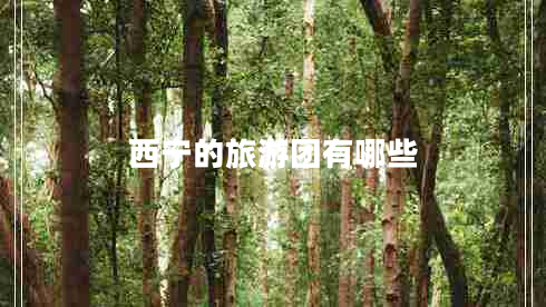 西宁的旅游团有哪些