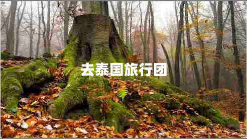 去泰国旅行团
