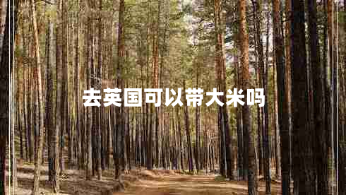 去英国可以带大米吗