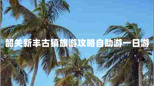韶关新丰古镇旅游攻略自助游一日游