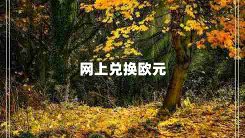 网上兑换欧元