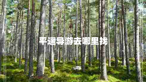平遥导游去哪里找
