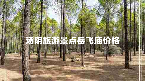 汤阴旅游景点岳飞庙价格