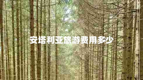 安塔利亚旅游费用多少