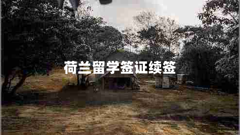 荷兰留学签证续签