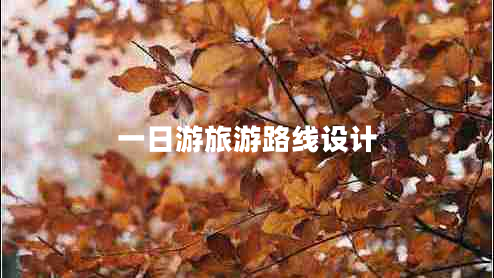 一日游旅游路线设计