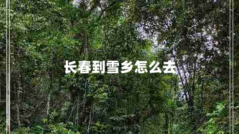 长春到雪乡怎么去