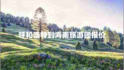 呼和浩特到海南旅游团报价