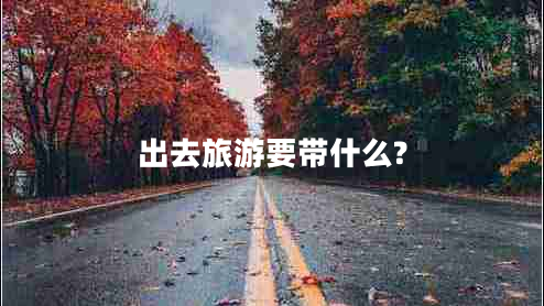 出去旅游要带什么?
