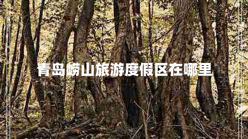 青岛崂山旅游度假区在哪里