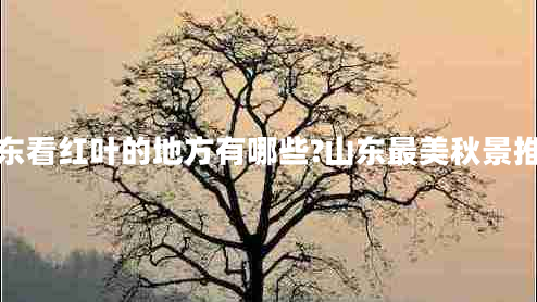 山东看红叶的地方有哪些?山东最美秋景推荐 山东看红叶的地方有哪些?山东最美秋景推荐