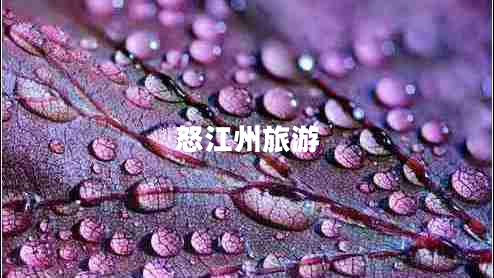 怒江州旅游
