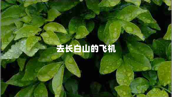 去长白山的飞机