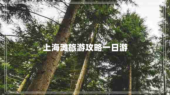上海滩旅游攻略一日游