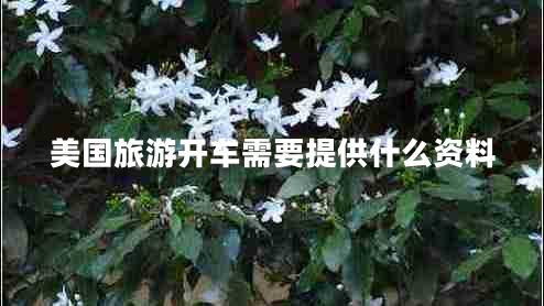 美国旅游开车需要提供什么资料