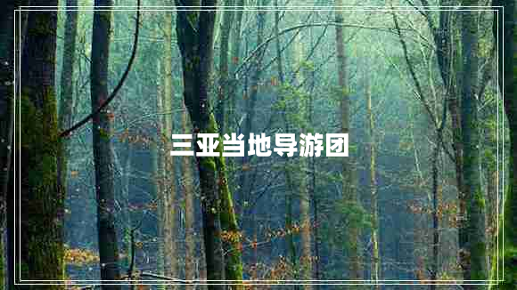 三亚当地导游团