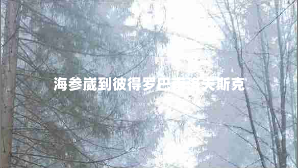海参崴到彼得罗巴甫洛夫斯克