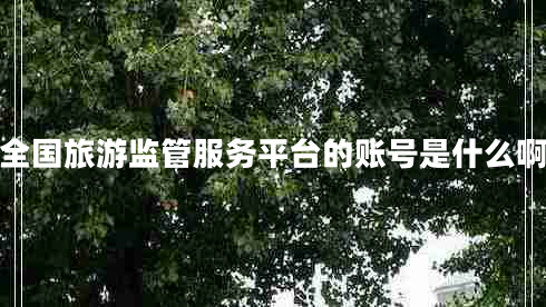 全国旅游监管服务平台的账号是什么啊