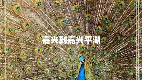 嘉兴到嘉兴平湖