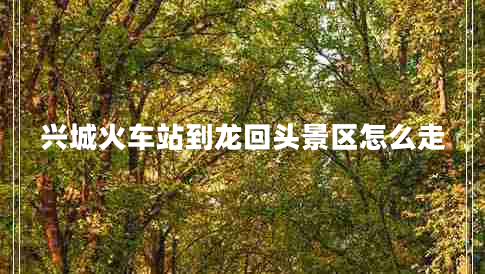 兴城火车站到龙回头景区怎么走