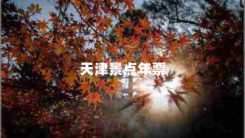 天津景点年票