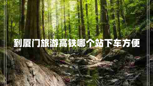 到厦门旅游高铁哪个站下车方便
