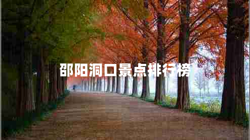 邵阳洞口景点排行榜
