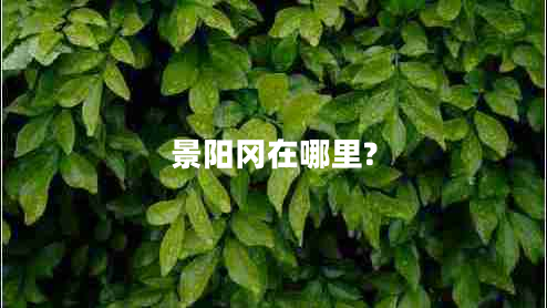 景阳冈在哪里?
