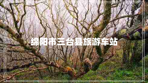 绵阳市三台县旅游车站