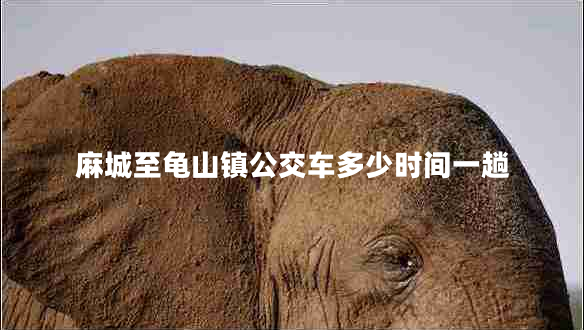 麻城至龟山镇公交车多少时间一趟
