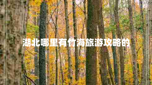 湖北哪里有竹海旅游攻略的