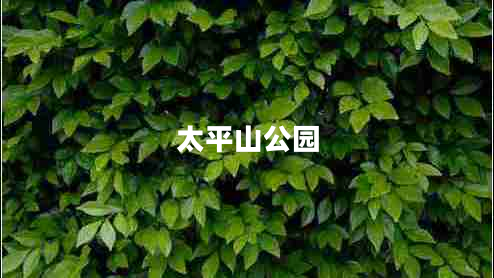太平山公园