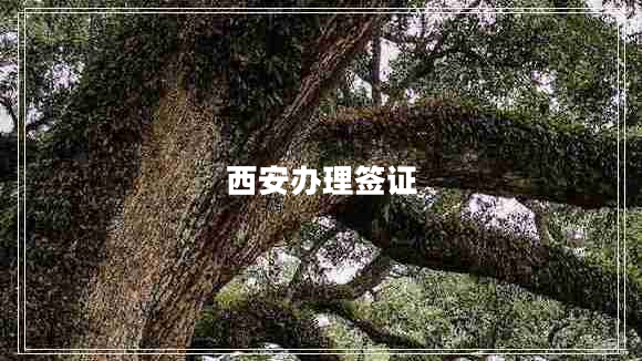 西安办理签证