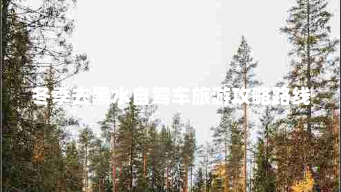 冬季去黑水自驾车旅游攻略路线