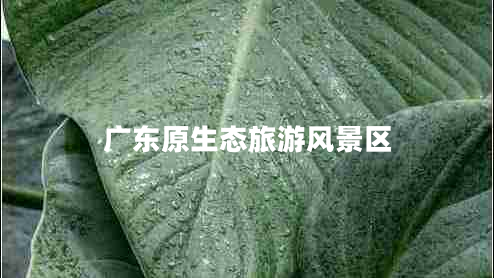 广东原生态旅游风景区