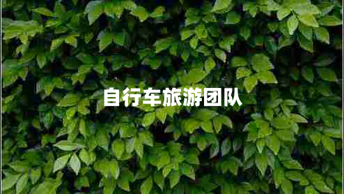 自行车旅游团队